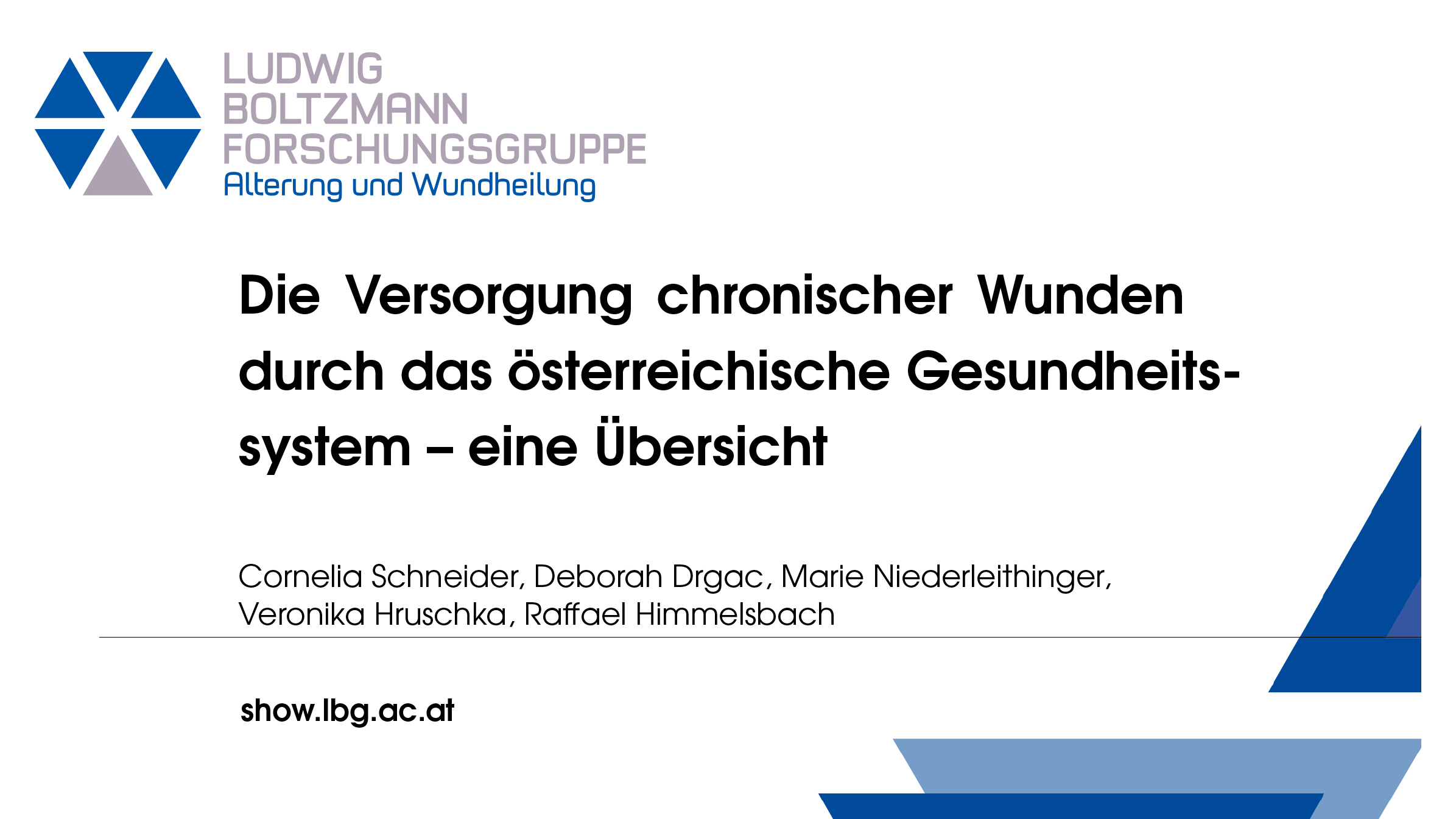 Chronic wound care within the Austrian health care system